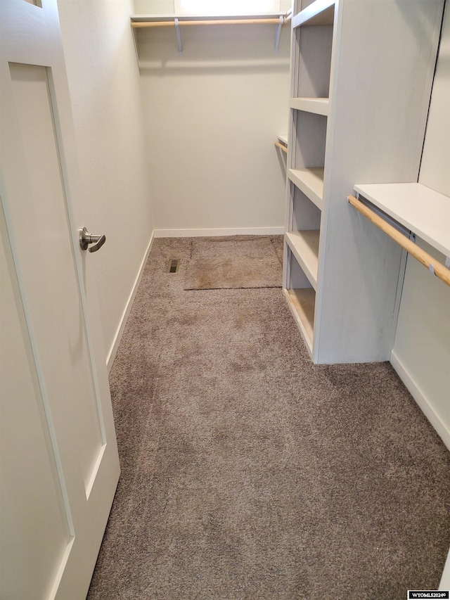 walk in closet featuring carpet