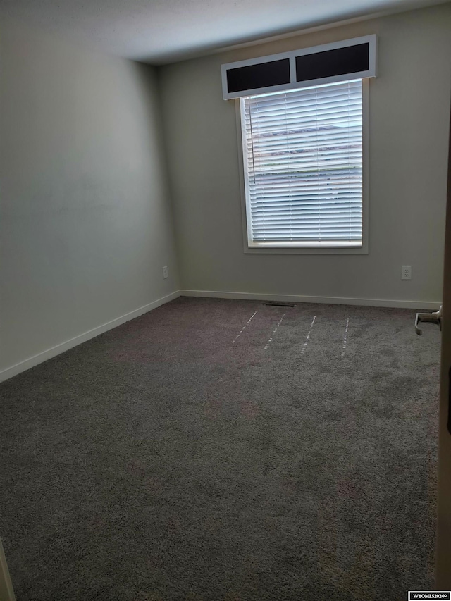 unfurnished room featuring carpet