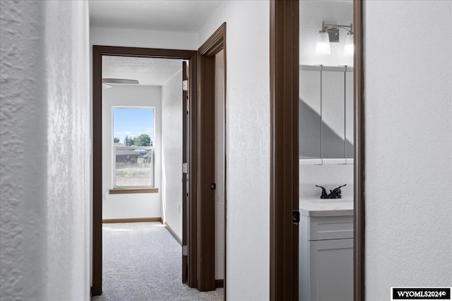 hallway featuring carpet