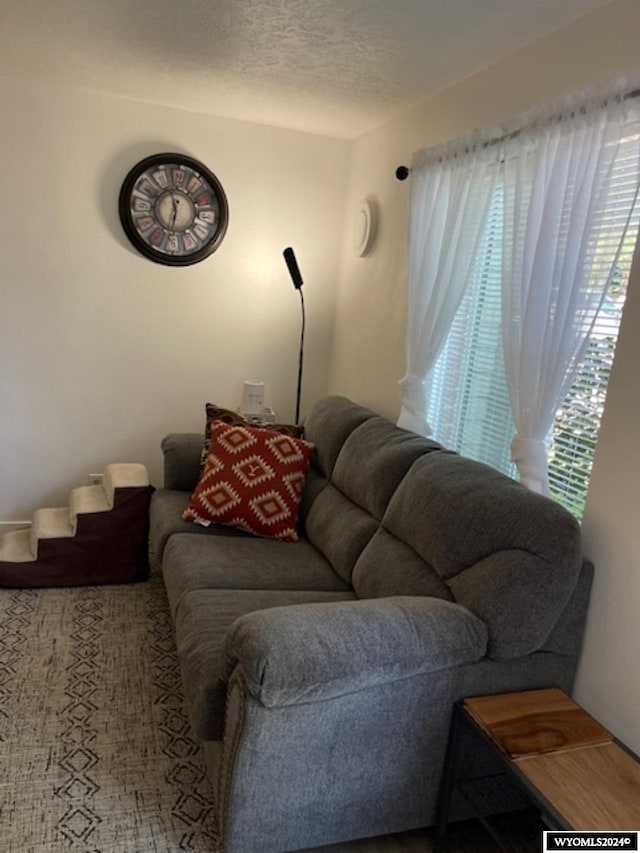 living room featuring a textured ceiling