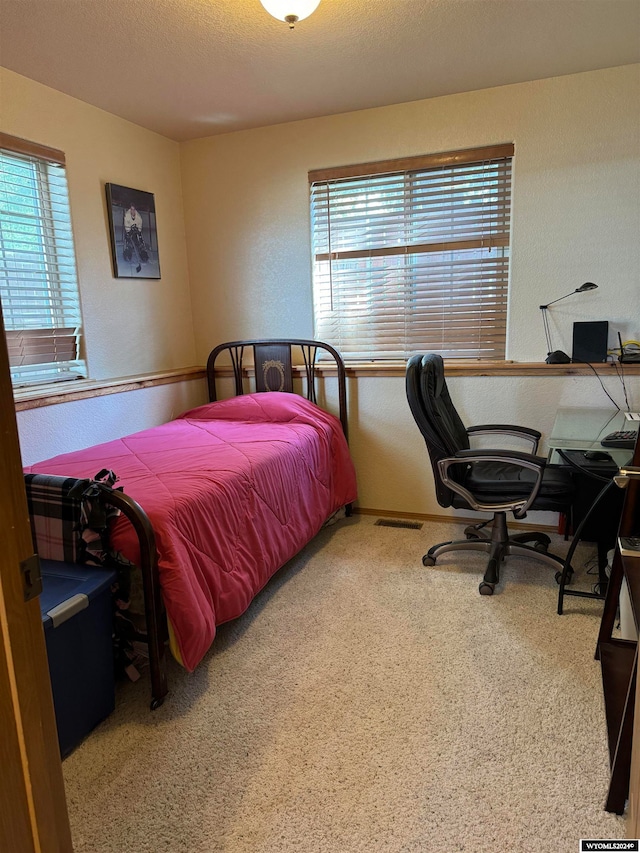 bedroom with carpet flooring