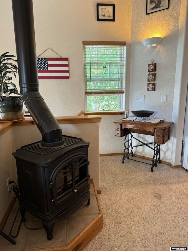 details featuring a wood stove and carpet flooring