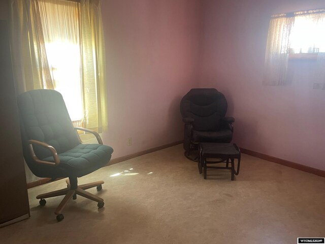 sitting room with carpet