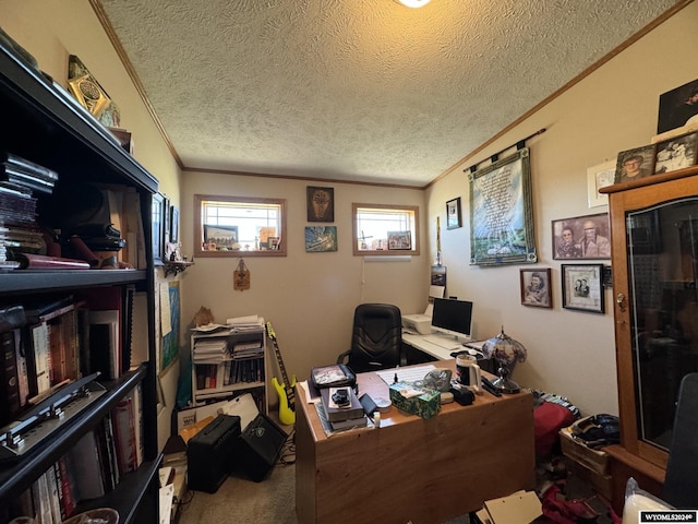 carpeted office featuring a textured ceiling and ornamental molding