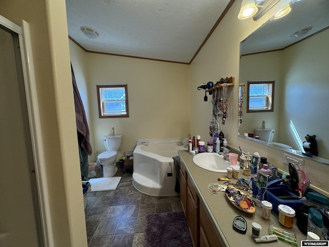 bathroom with a wealth of natural light, toilet, vanity, and a garden tub