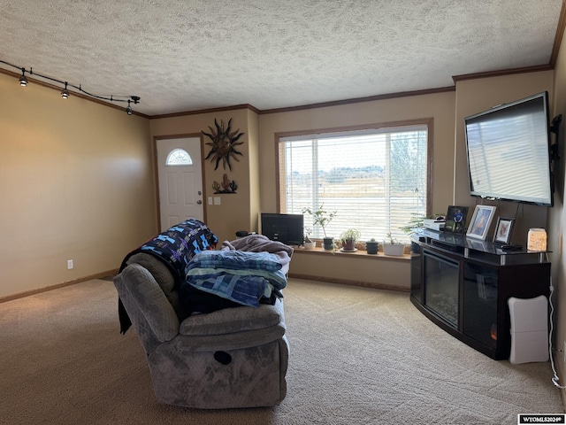 living area with crown molding, light colored carpet, baseboards, and a textured ceiling