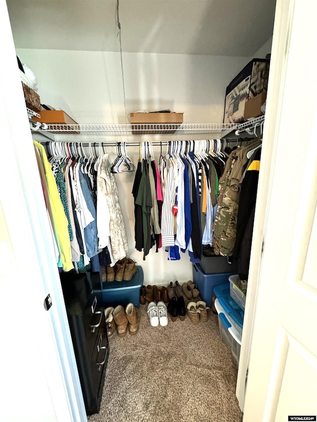 walk in closet featuring carpet floors