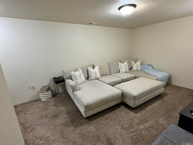 living room featuring a textured ceiling and carpet