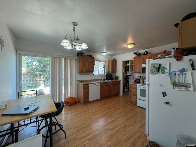 kitchen featuring plenty of natural light, light wood-type flooring, sink, and white appliances