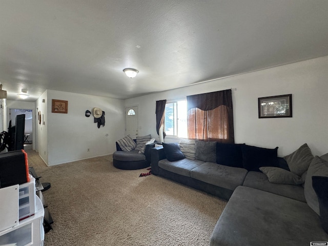 living room featuring a textured ceiling and carpet