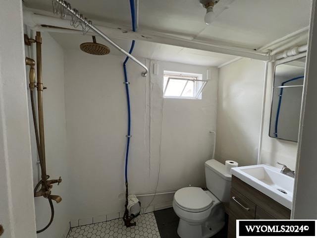 bathroom with vanity, toilet, and a shower
