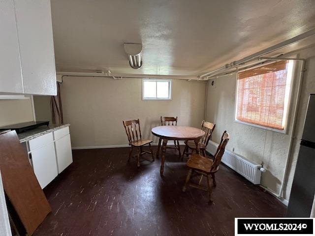 dining space featuring radiator heating unit