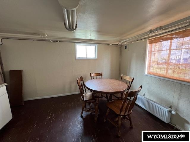 dining area featuring radiator heating unit