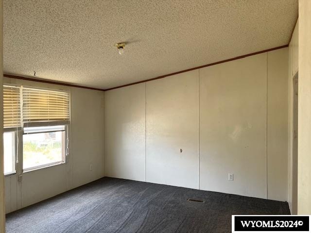 unfurnished room with carpet, crown molding, and a textured ceiling