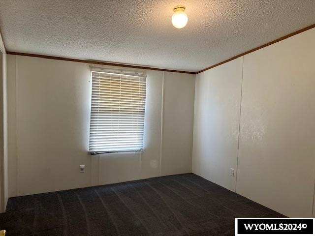 carpeted spare room with ornamental molding and a textured ceiling