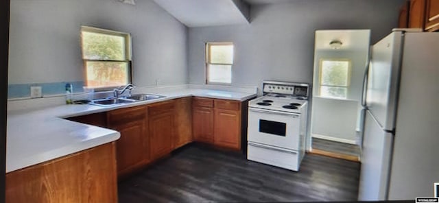 kitchen with plenty of natural light, dark hardwood / wood-style flooring, sink, and white appliances