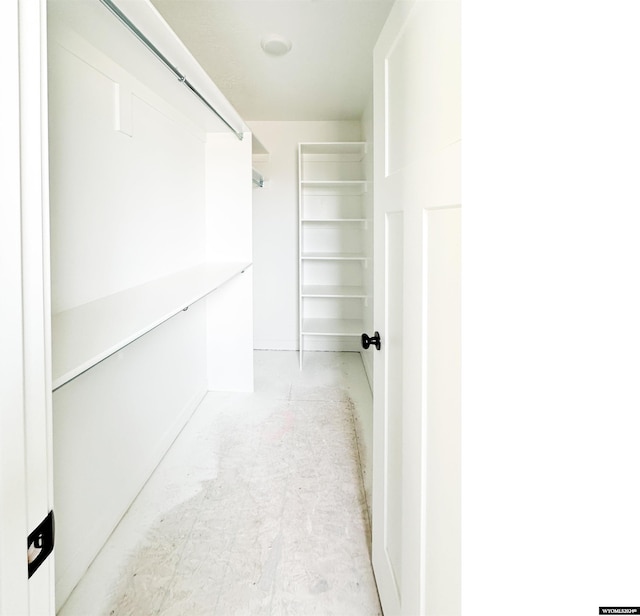 view of walk in closet