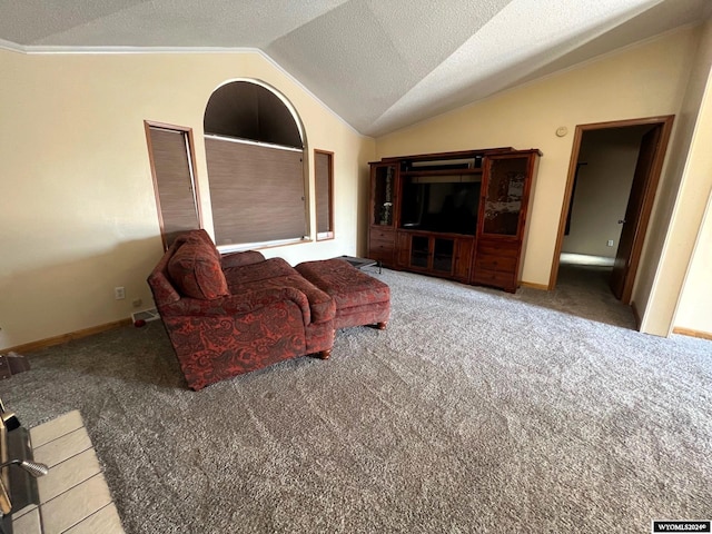 living room featuring lofted ceiling, carpet, and a textured ceiling