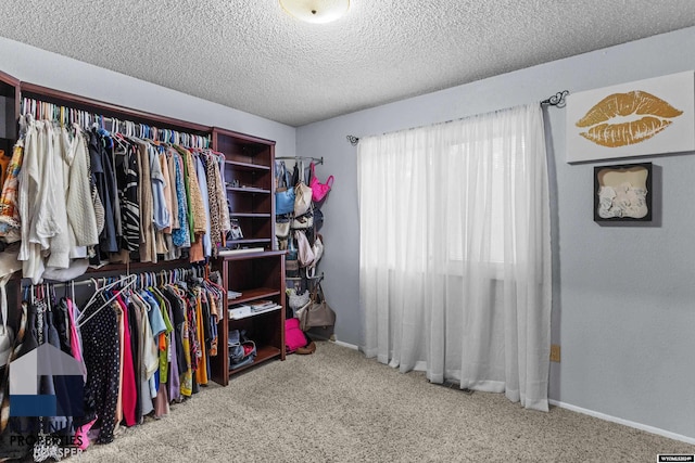 walk in closet with carpet flooring