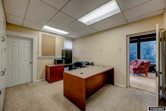 carpeted office space featuring a paneled ceiling