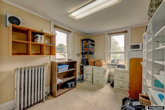 carpeted office featuring ornamental molding and radiator