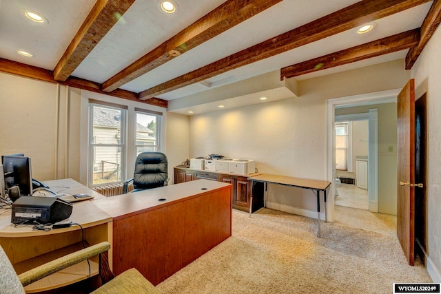 carpeted office with plenty of natural light