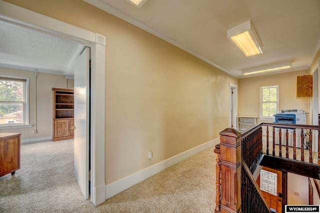 hallway featuring a textured ceiling, ornamental molding, and carpet floors