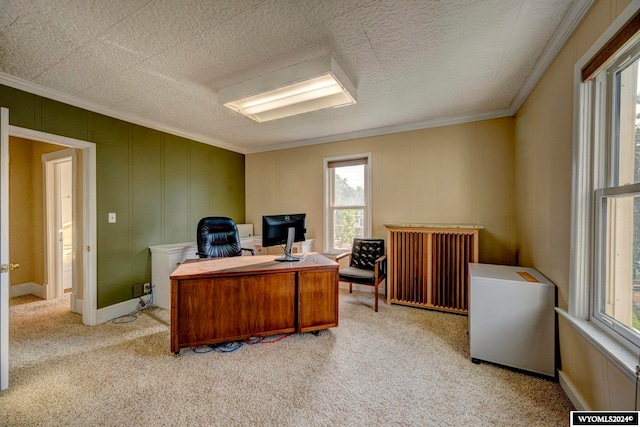 office area featuring light colored carpet and crown molding