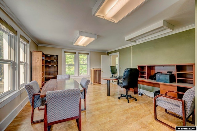 office featuring crown molding and light hardwood / wood-style flooring