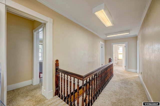 corridor with ornamental molding and light carpet