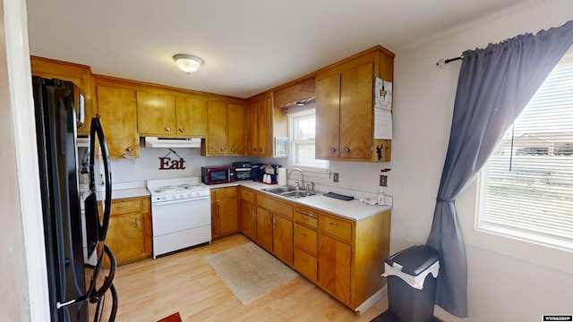 kitchen with light hardwood / wood-style flooring, black appliances, and sink