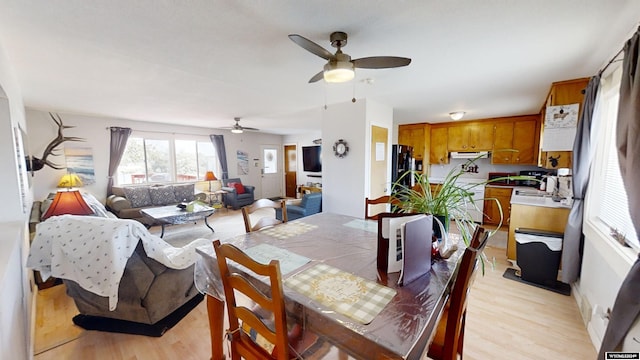 dining room with light hardwood / wood-style floors and ceiling fan