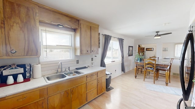 kitchen featuring ceiling fan, light hardwood / wood-style floors, sink, and refrigerator