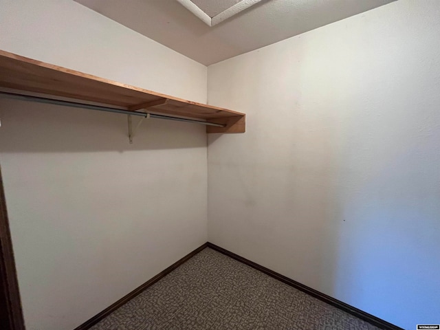 walk in closet featuring carpet flooring