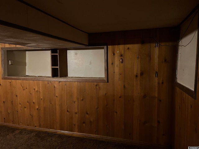 interior space with carpet and wood walls