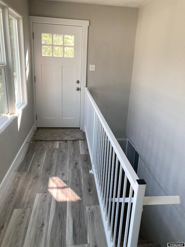 doorway to outside featuring wood-type flooring