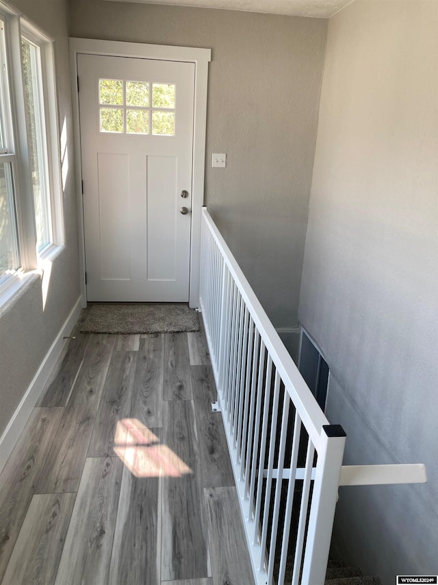 doorway to outside featuring baseboards, a healthy amount of sunlight, and wood finished floors
