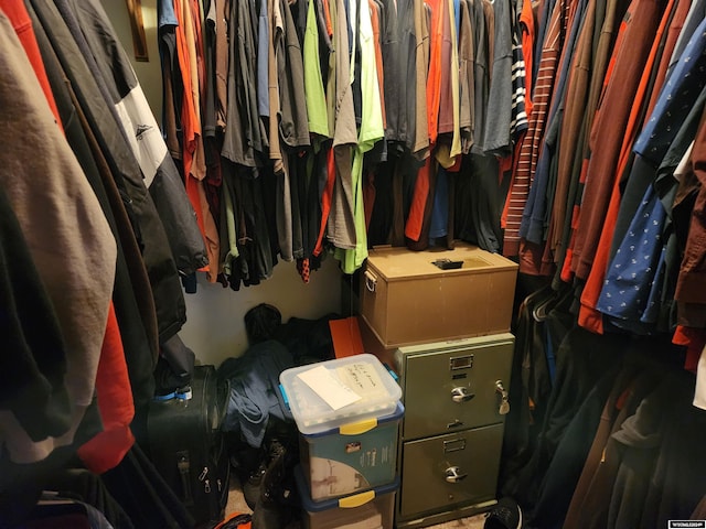 view of spacious closet