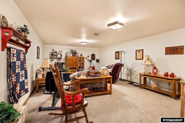 2226 E I St, Torrington, WY 82240 - office with carpet flooring