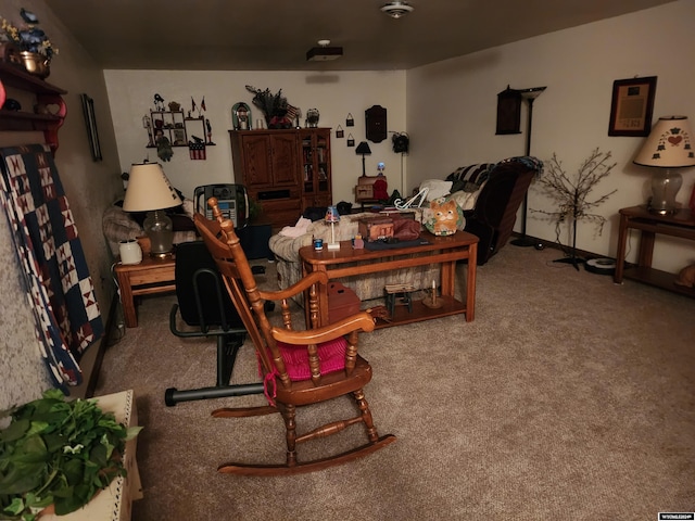 living room featuring carpet flooring