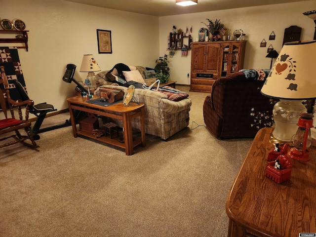 living room featuring carpet flooring