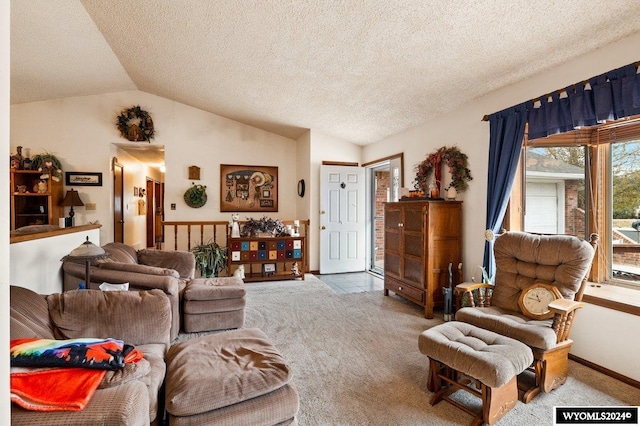 2226 E I St, Torrington, WY 82240 - living room with carpet floors, vaulted ceiling, and a textured ceiling