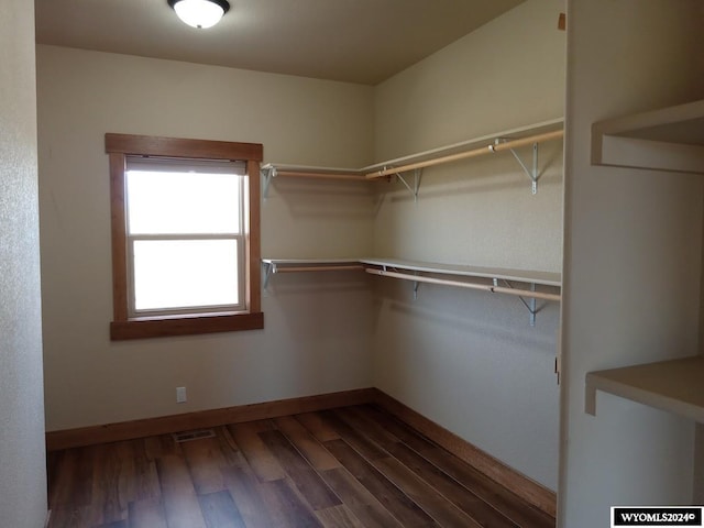 walk in closet featuring dark hardwood / wood-style flooring