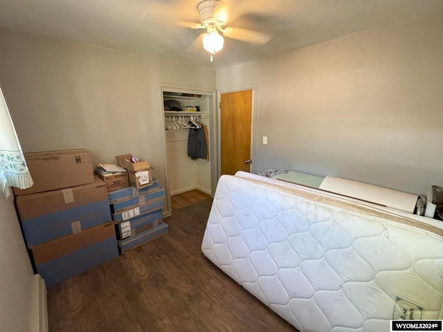 bedroom featuring ceiling fan, a closet, and dark wood-type flooring