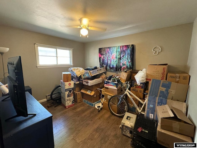 interior space with ceiling fan and wood-type flooring