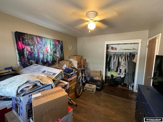 bedroom with dark wood-type flooring, a closet, and ceiling fan