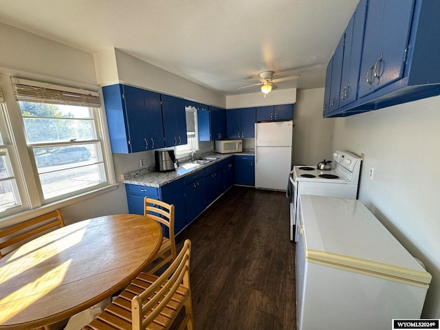 kitchen featuring dark hardwood / wood-style floors, sink, white appliances, ceiling fan, and blue cabinetry