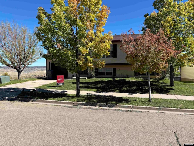 view of property hidden behind natural elements with a front lawn