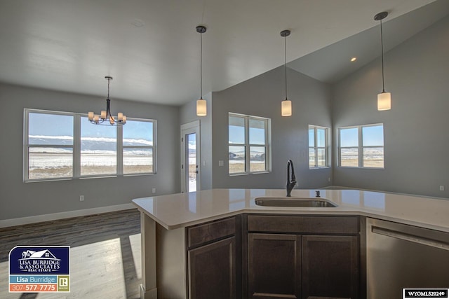 kitchen featuring light wood-type flooring, stainless steel dishwasher, a healthy amount of sunlight, and sink