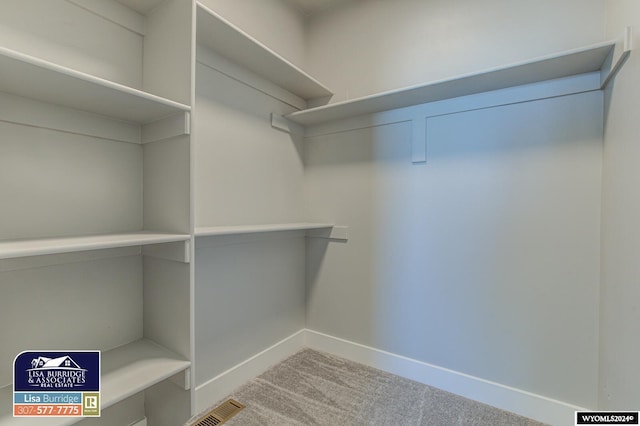 spacious closet with carpet floors